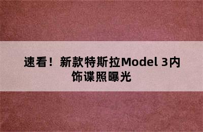 速看！新款特斯拉Model 3内饰谍照曝光